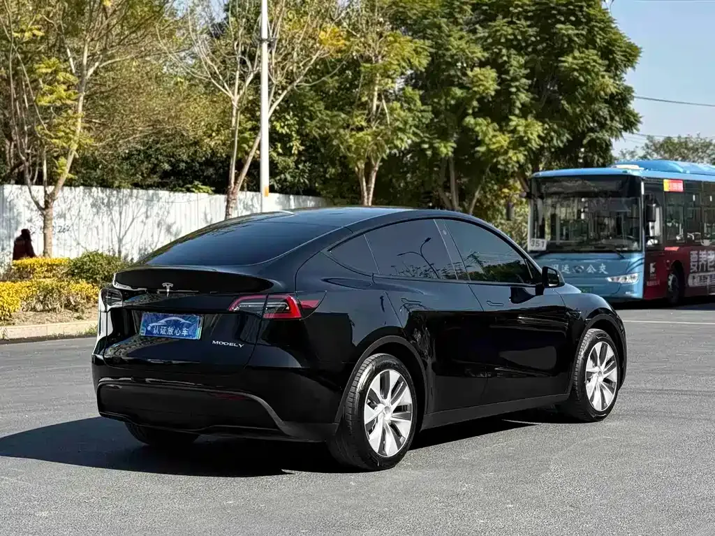 Tesla Model Y — фото 9