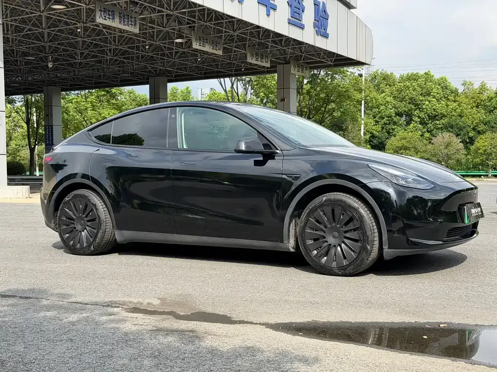 Tesla Model Y — фото 9