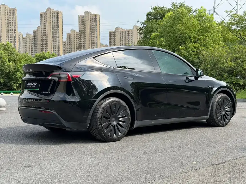 Tesla Model Y — фото 3