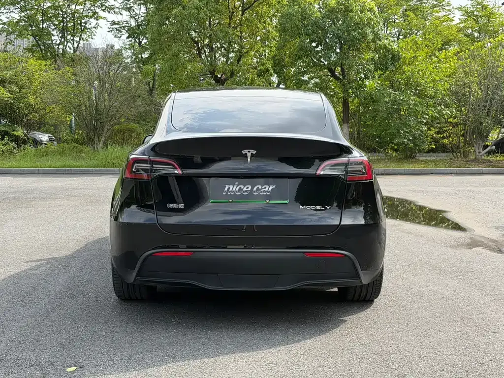 Tesla Model Y — фото 7