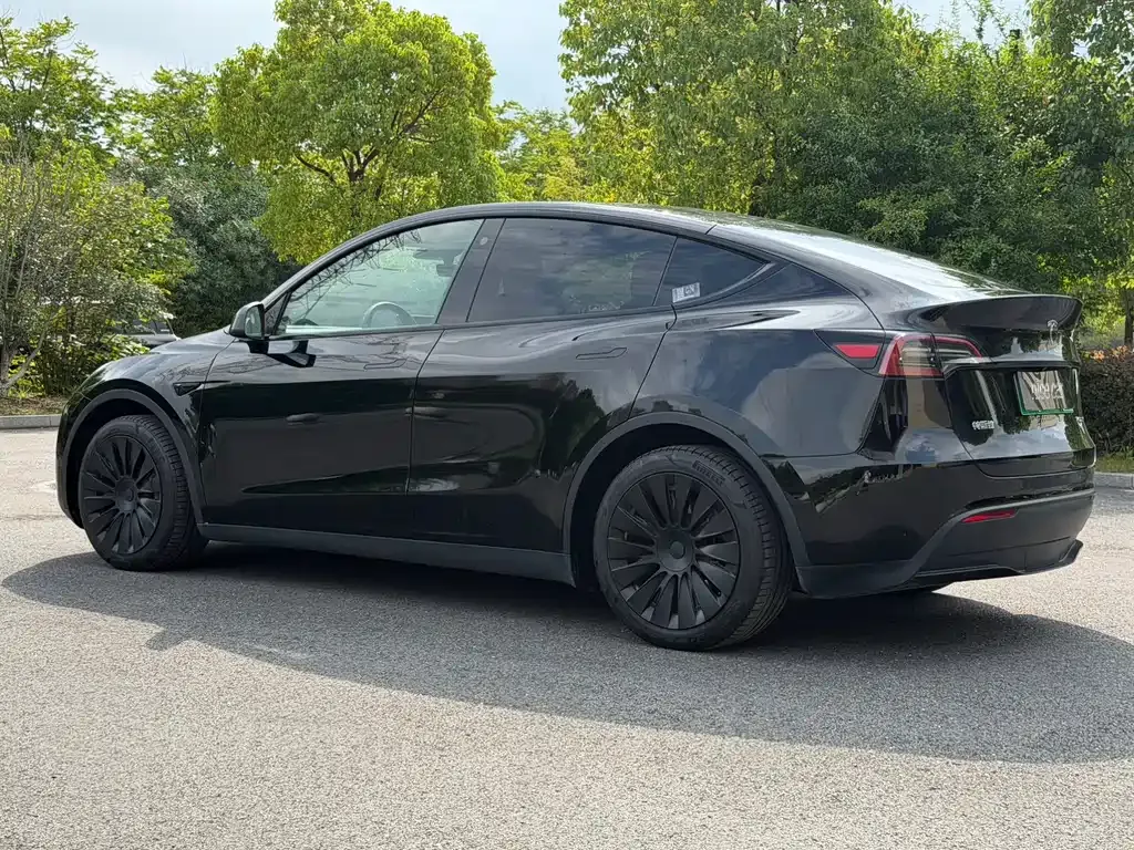 Tesla Model Y — фото 10