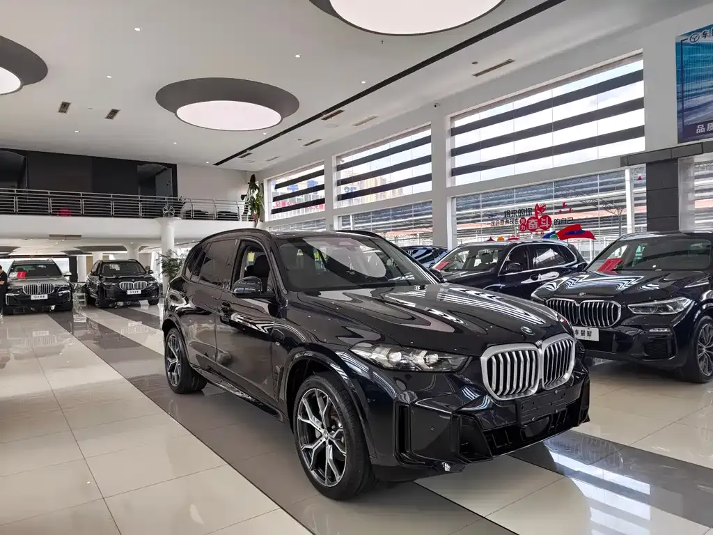 BMW X5 — фото 9