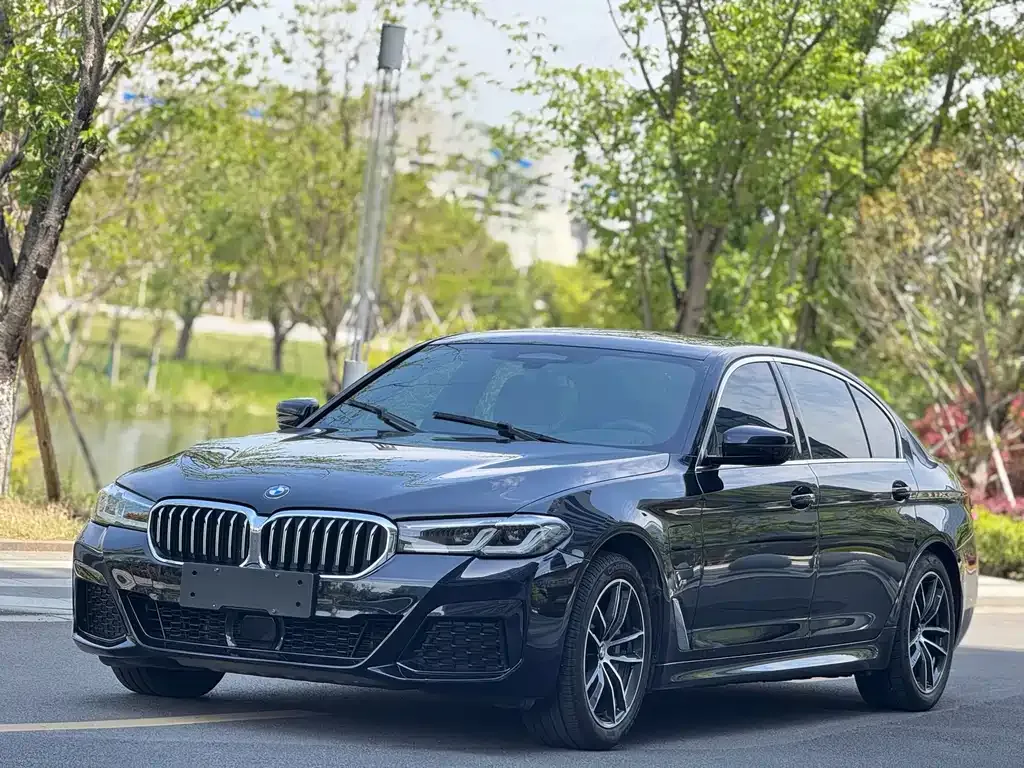 BMW 5 Series New Energy — фото 1