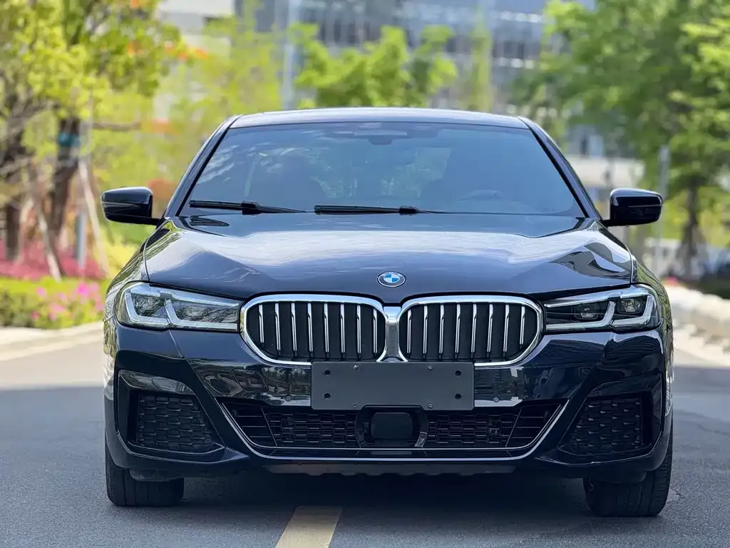 BMW 5 Series New Energy — фото 9