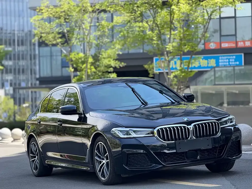 BMW 5 Series New Energy — фото 7