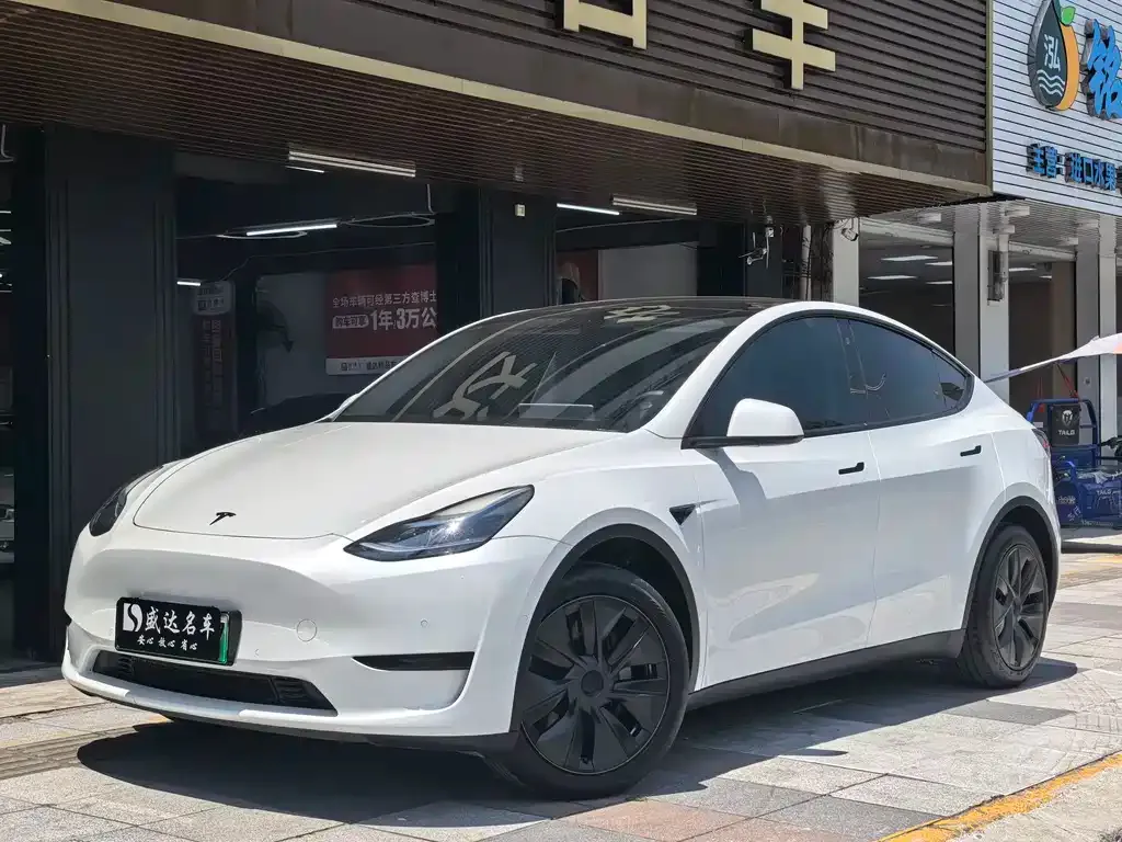 Tesla Model Y — фото 1