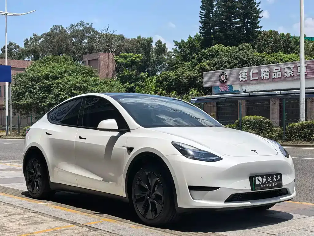 Tesla Model Y — фото 7