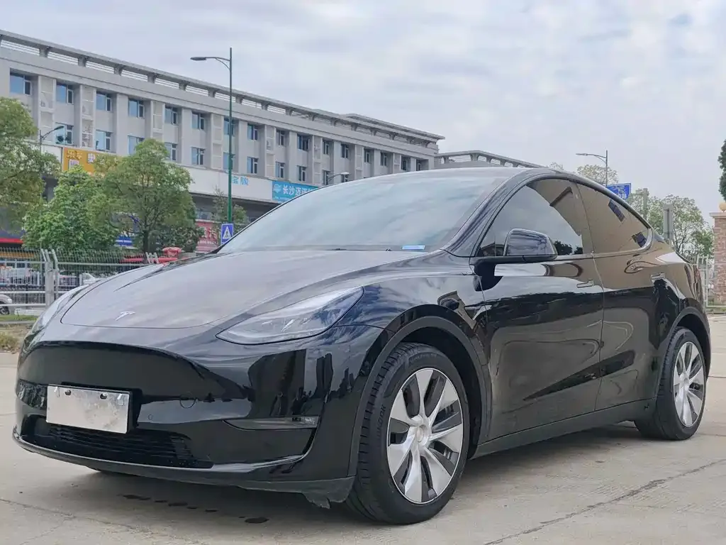 Tesla Model Y — фото 1