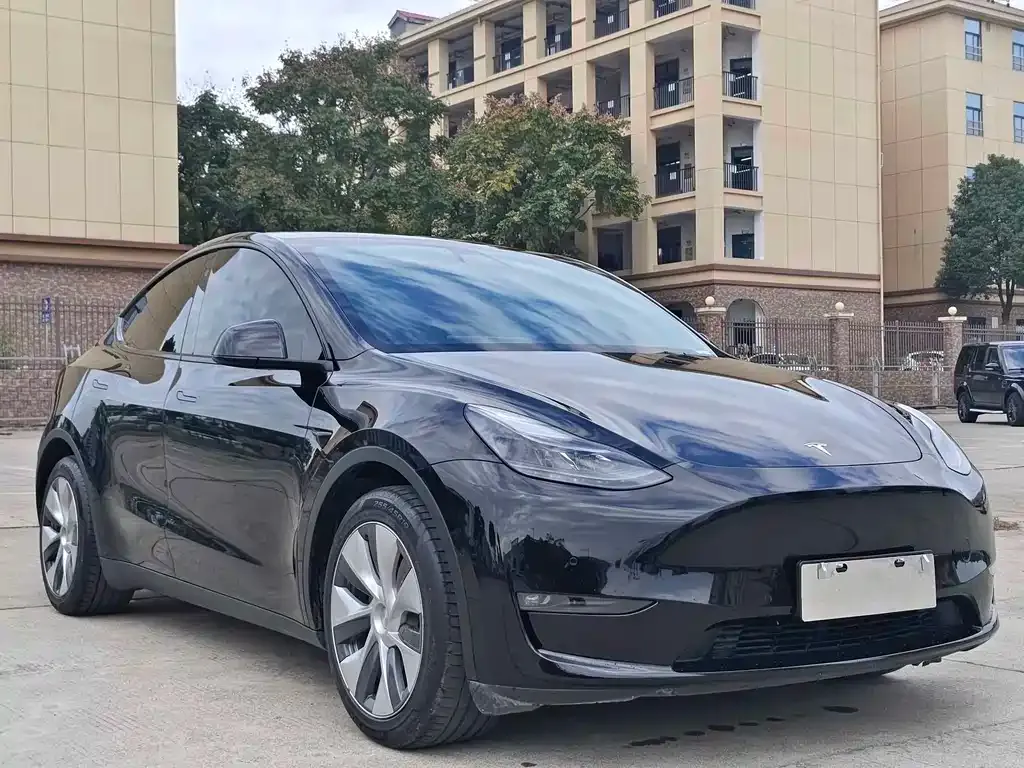 Tesla Model Y — фото 10