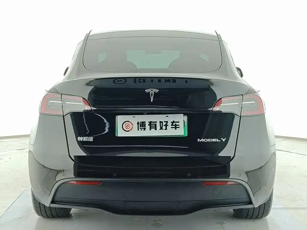 Tesla Model Y — фото 9