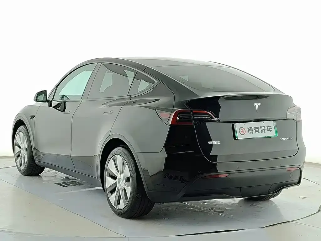 Tesla Model Y — фото 10