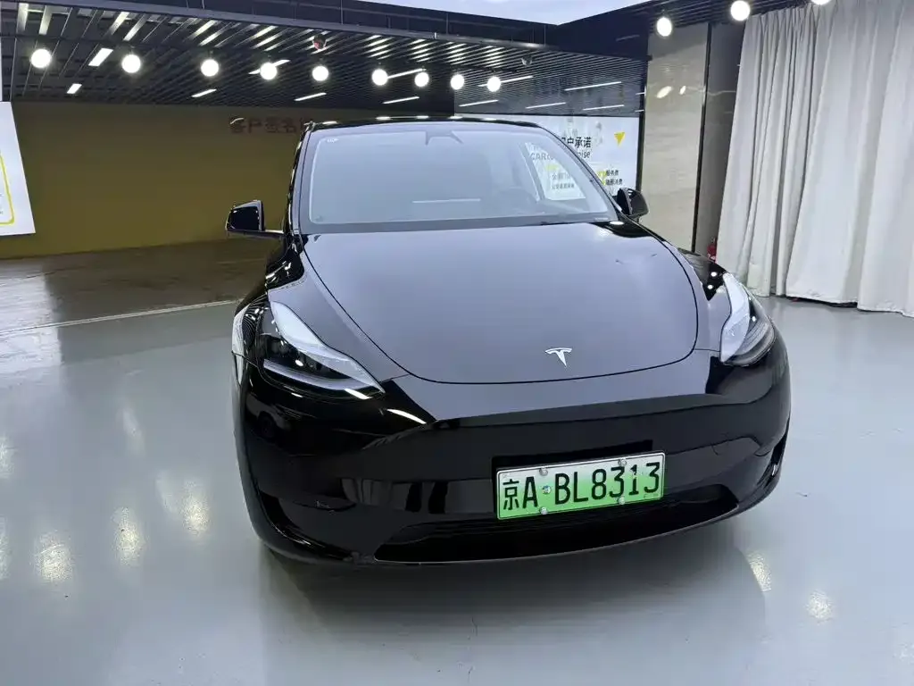 Tesla Model Y — фото 8