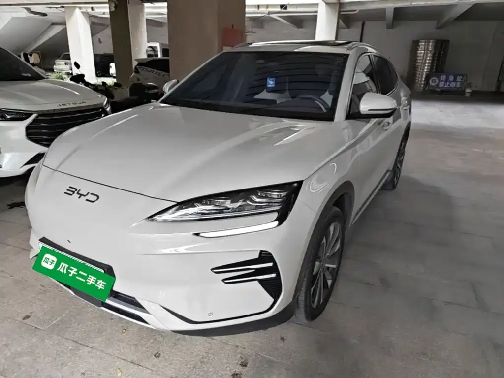 BYD PLUS New Energy — фото 1