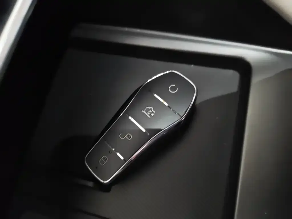 BYD PLUS New Energy — фото 3