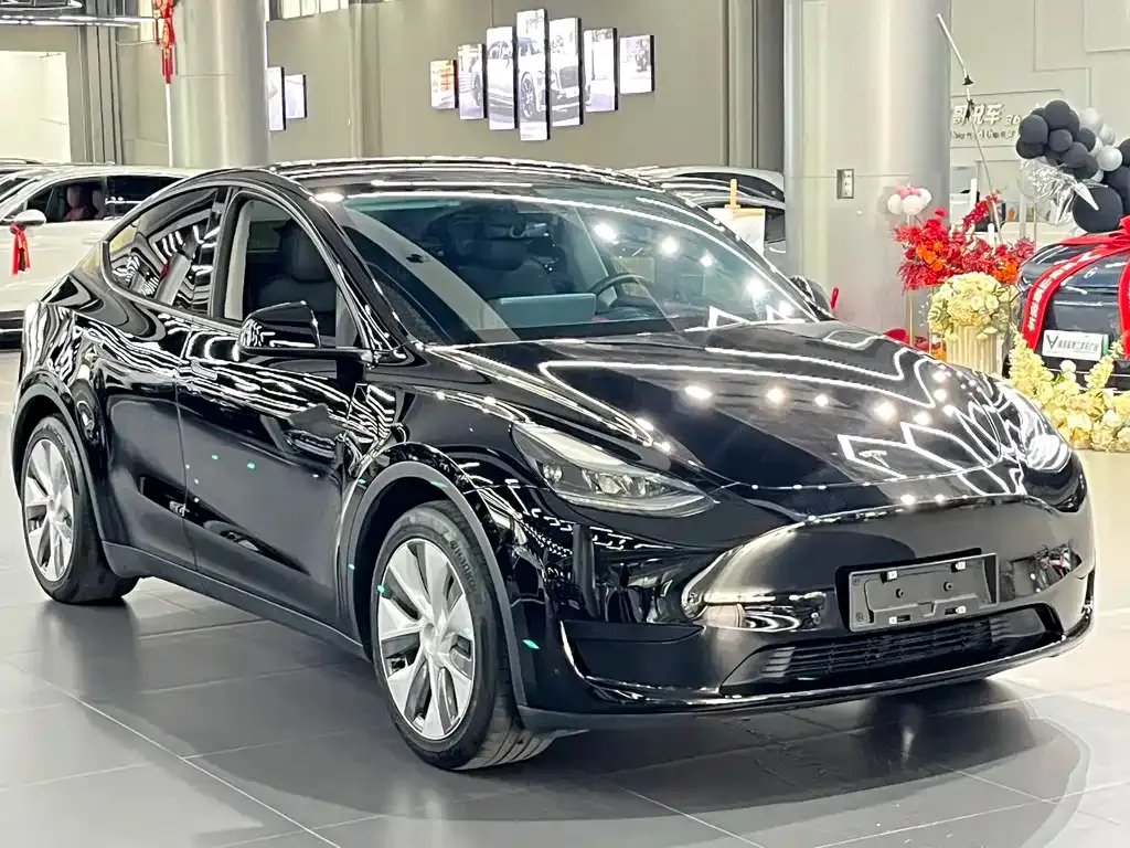 Tesla Model Y — фото 2