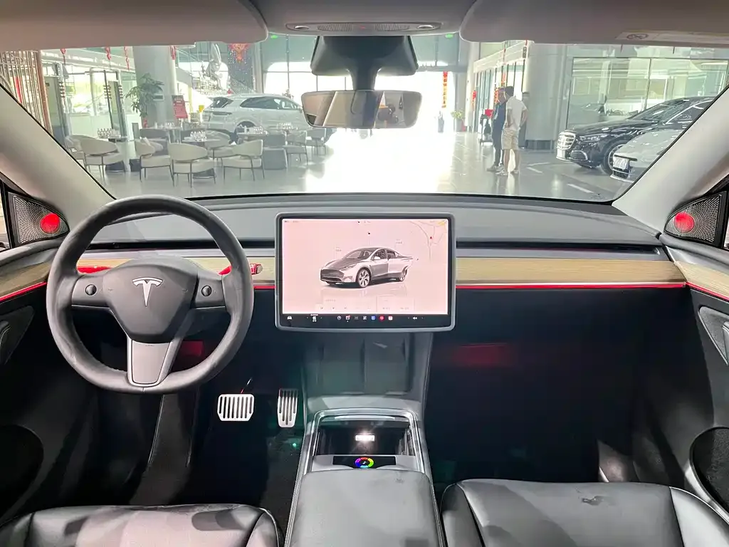 Tesla Model Y — фото 9