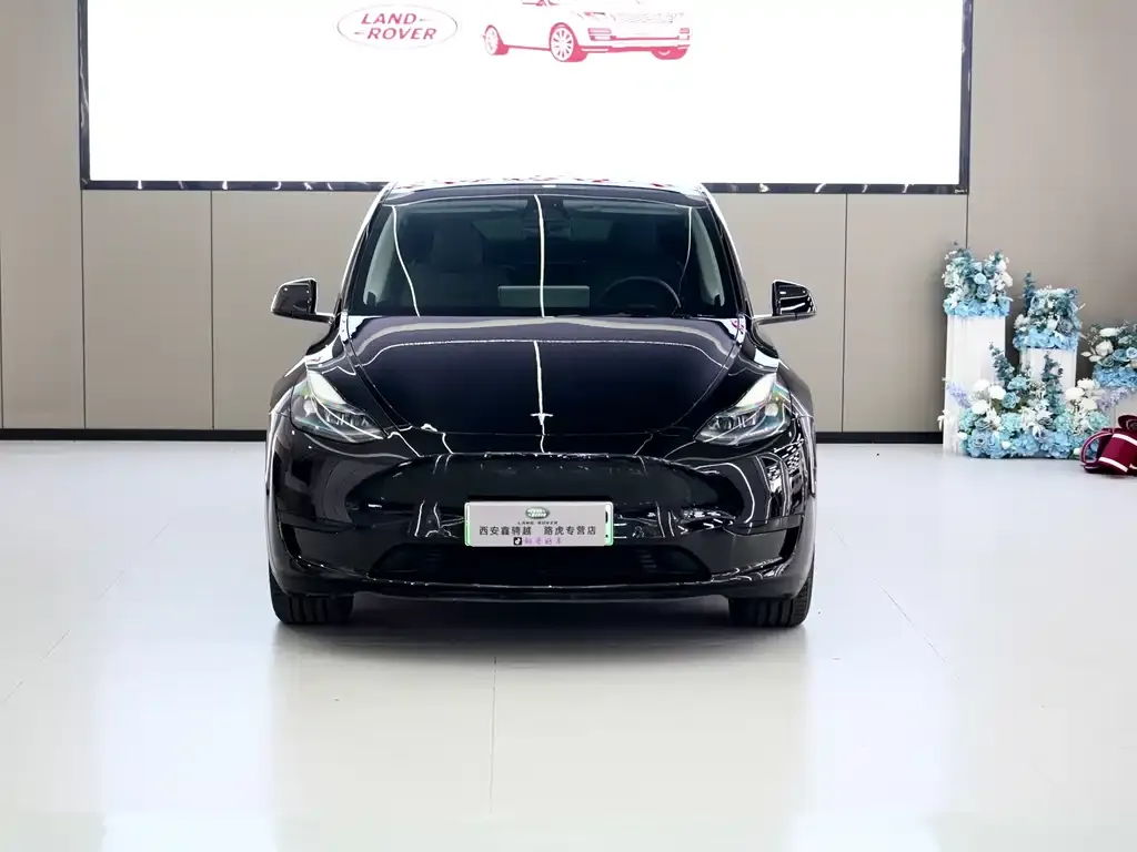 Tesla Model Y — фото 2