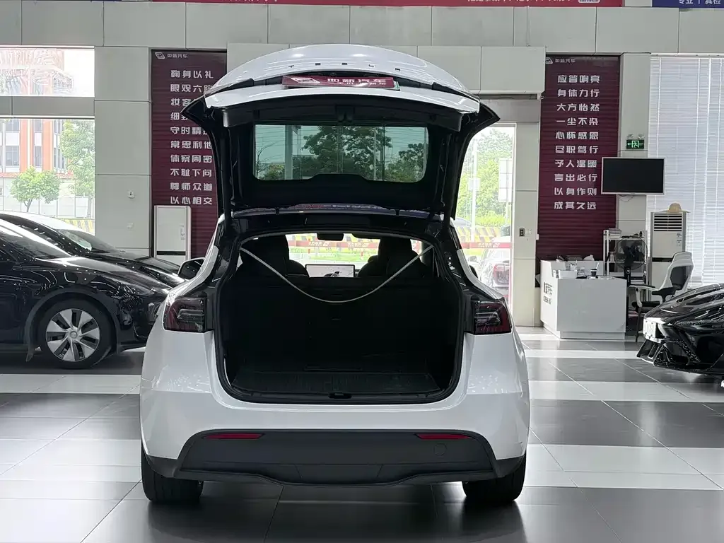 Tesla Model Y — фото 4