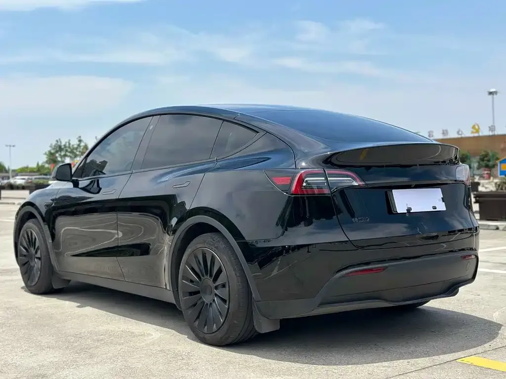 Tesla Model Y — фото 6