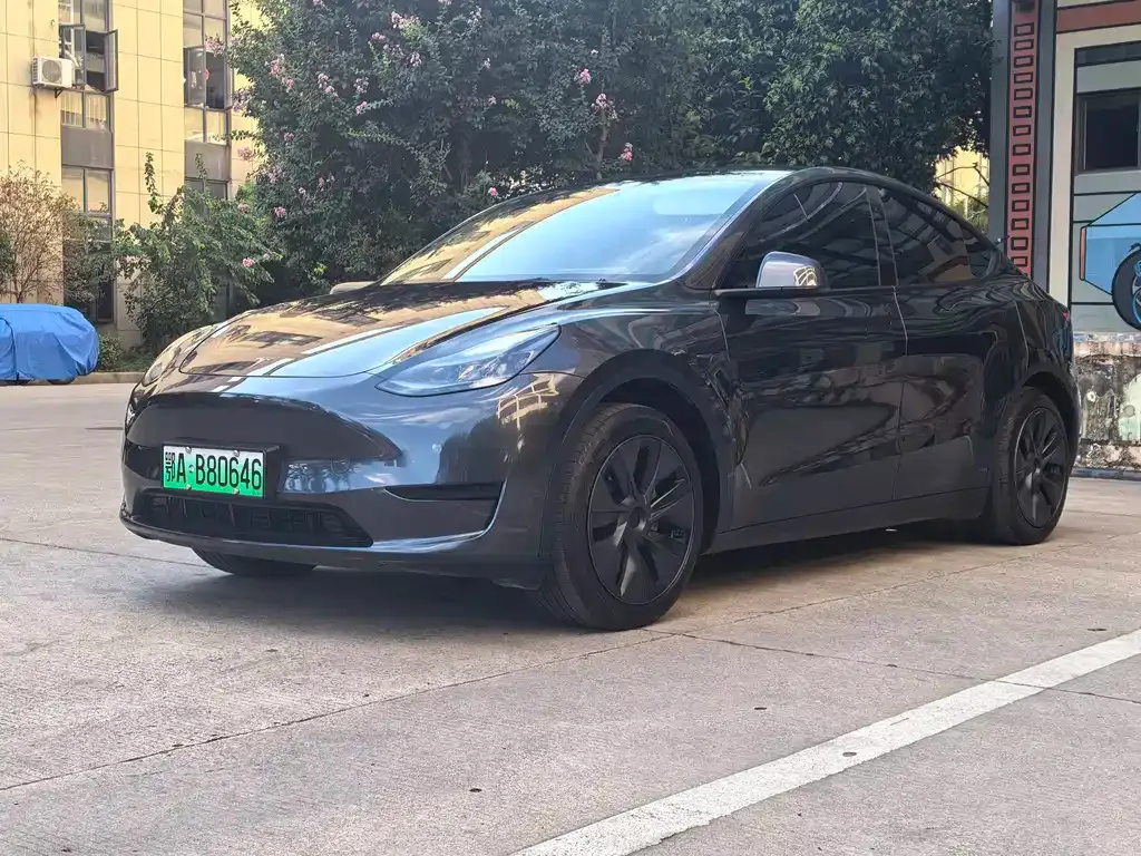 Tesla Model Y — фото 1