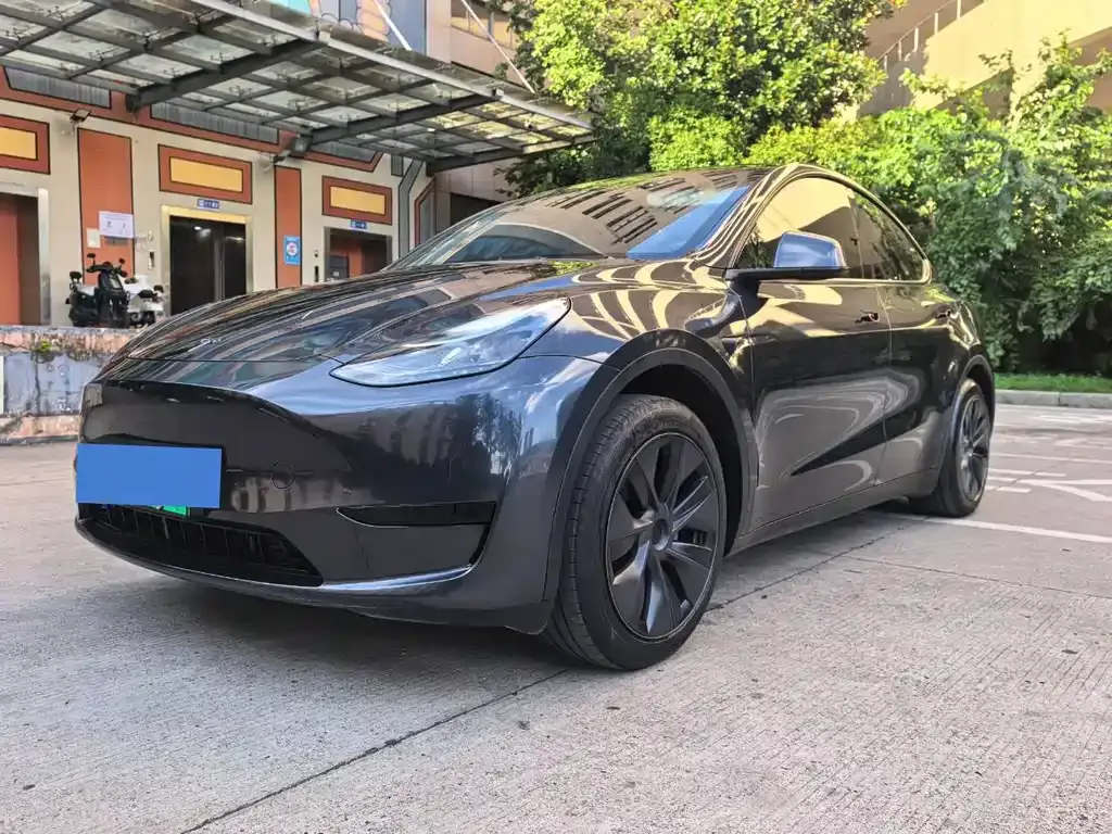 Tesla Model Y — фото 10