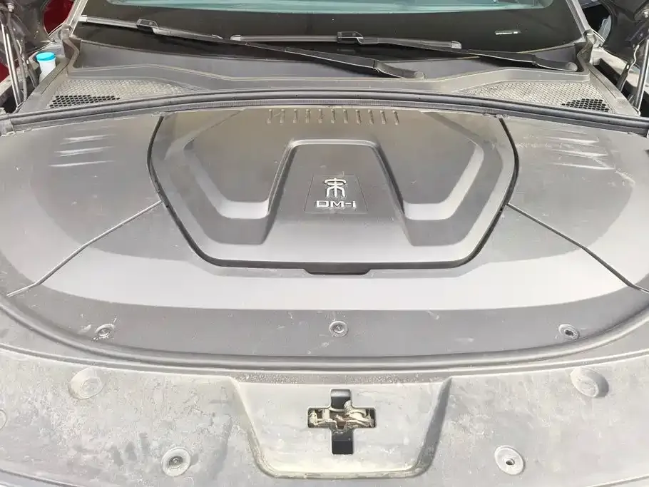 BYD PLUS New Energy — фото 8