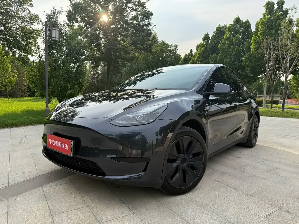 Tesla Model Y — фото 1