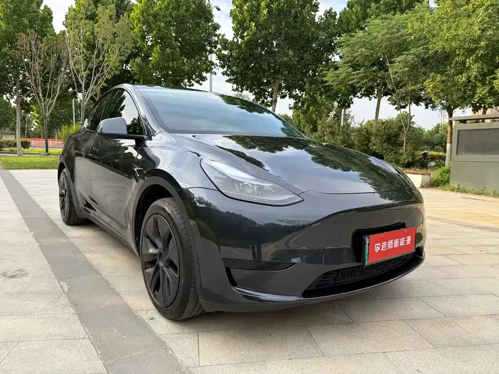 Tesla Model Y — фото 8