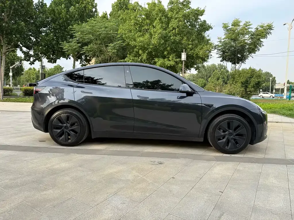 Tesla Model Y — фото 10