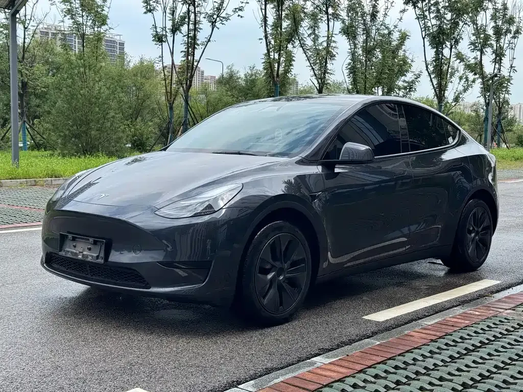 Tesla Model Y — фото 1