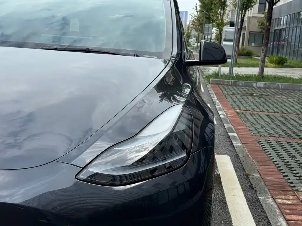 Tesla Model Y — фото 2