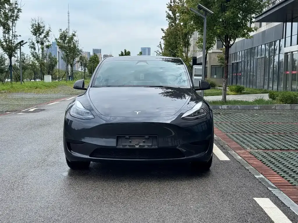 Tesla Model Y — фото 8