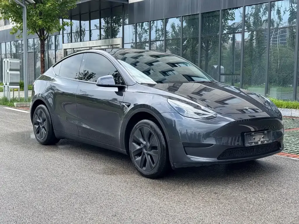 Tesla Model Y — фото 9