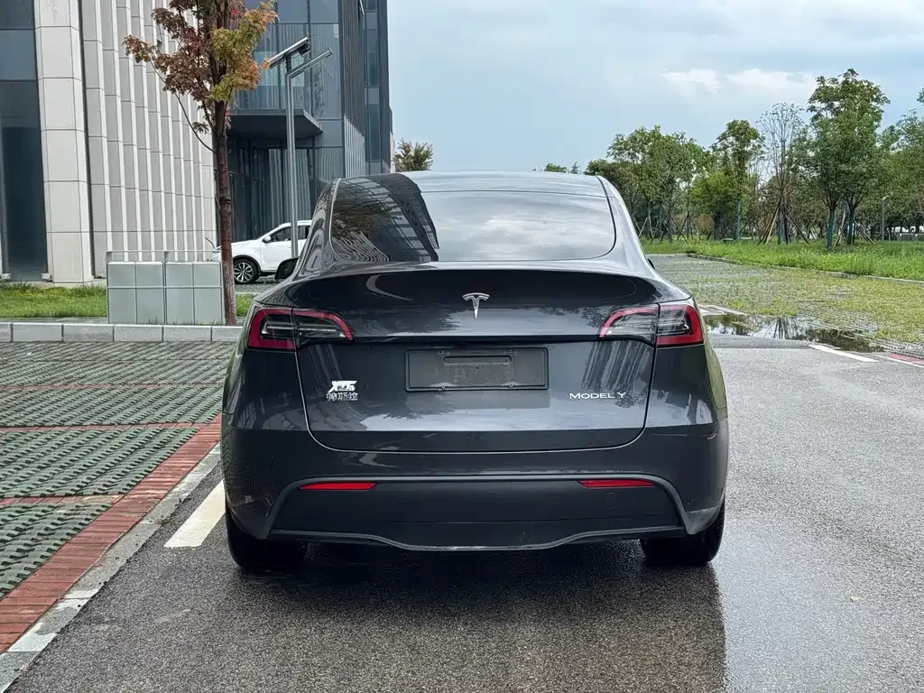 Tesla Model Y — фото 3
