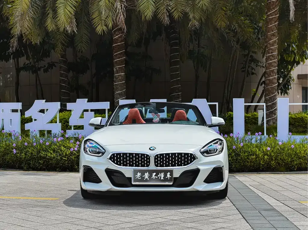 BMW Z4 — фото 10