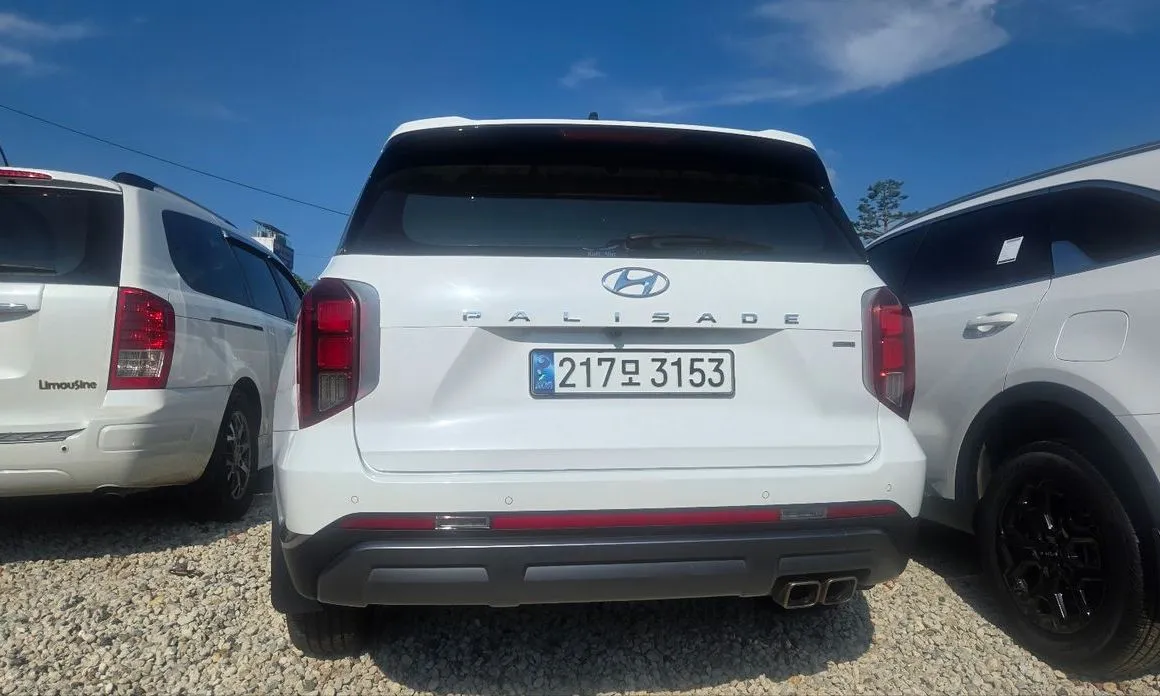 Hyundai Palisade — фото 9