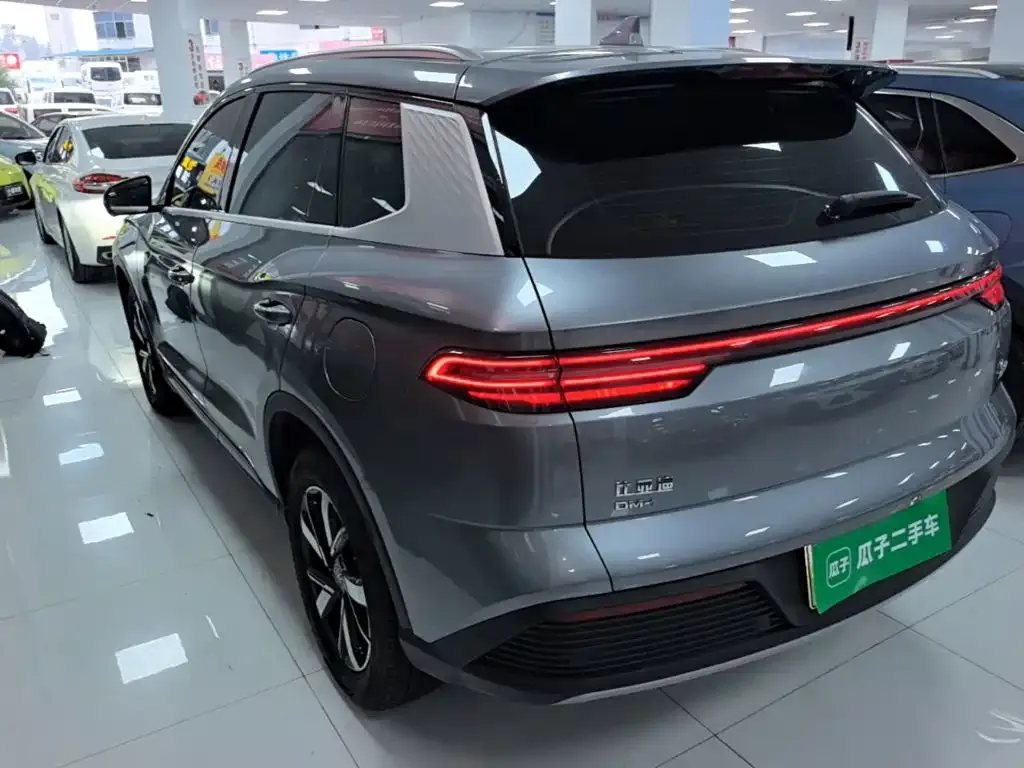 BYD Pro New Energy — фото 10