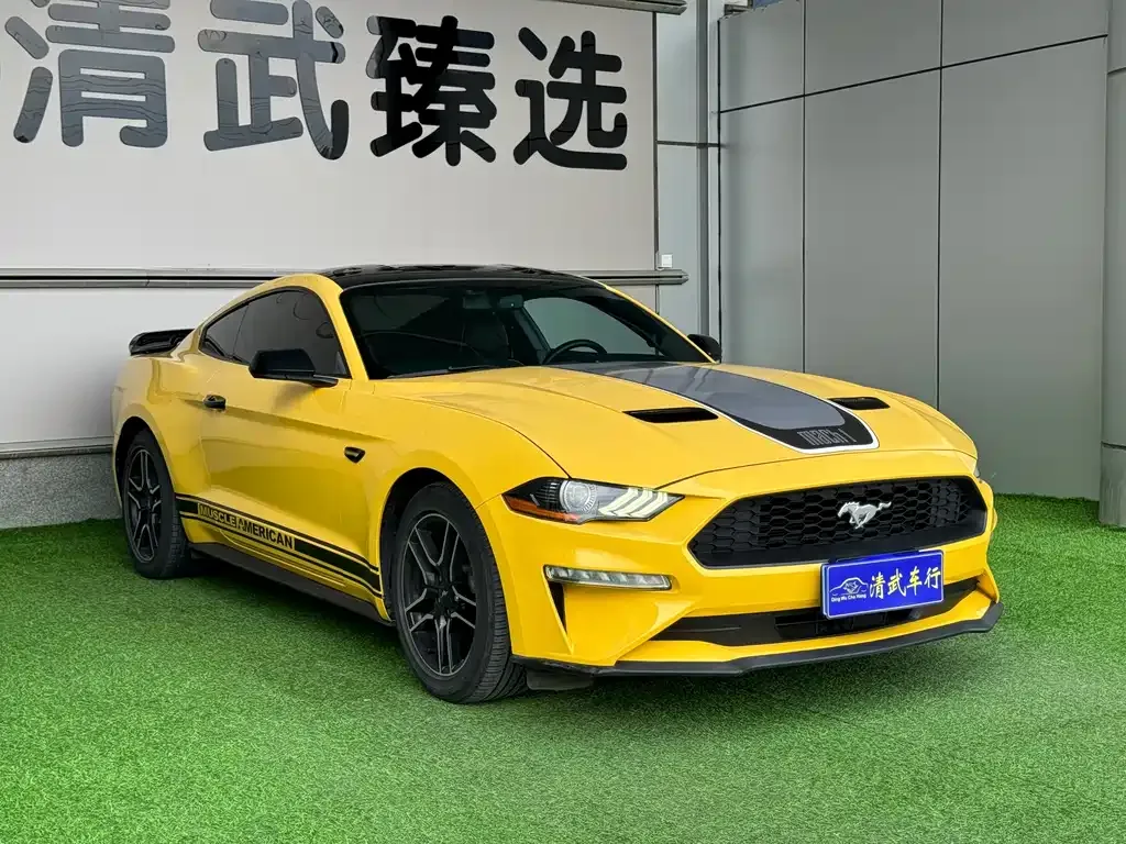 Ford Mustang — фото 10