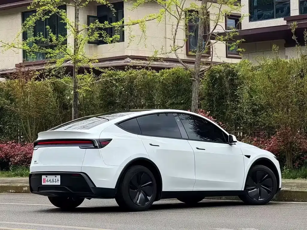 Tesla Model Y — фото 8
