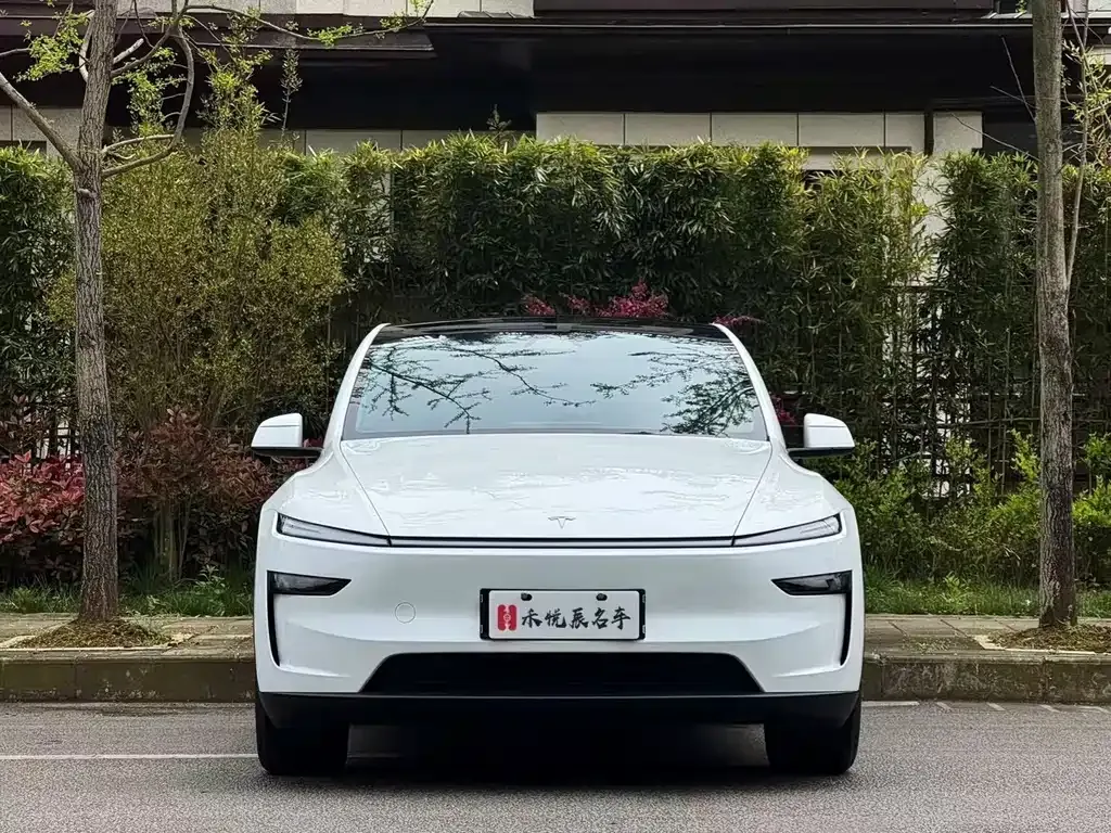 Tesla Model Y — фото 9