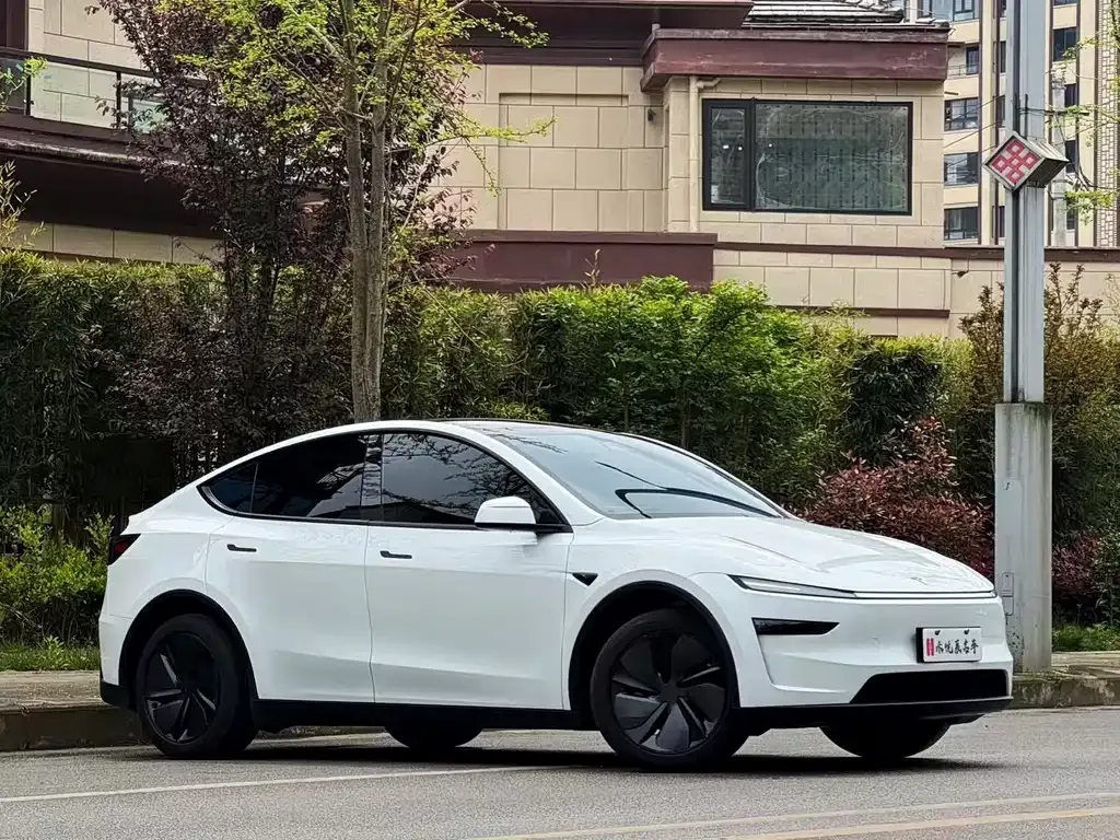 Tesla Model Y — фото 10