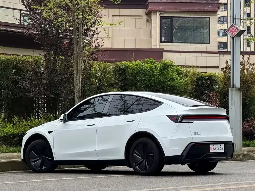 Tesla Model Y — фото 6