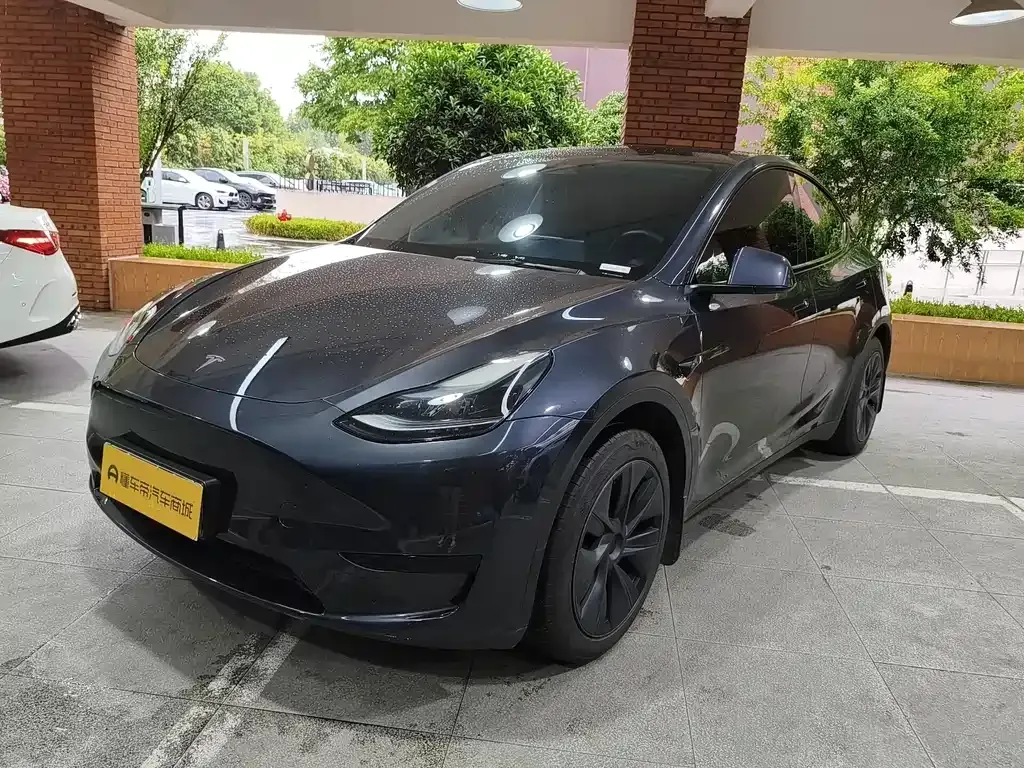 Tesla Model Y — фото 1