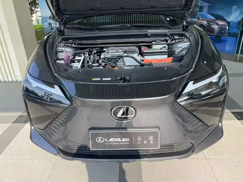 Lexus RZ — фото 8