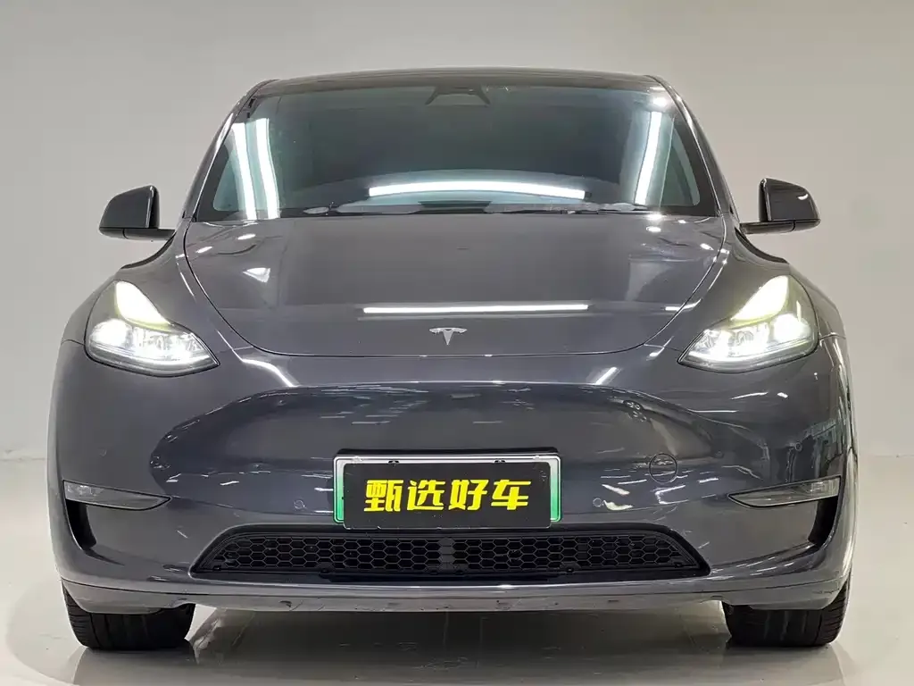 Tesla Model Y — фото 3