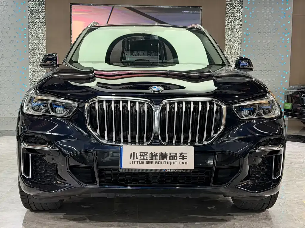 BMW X5 — фото 4