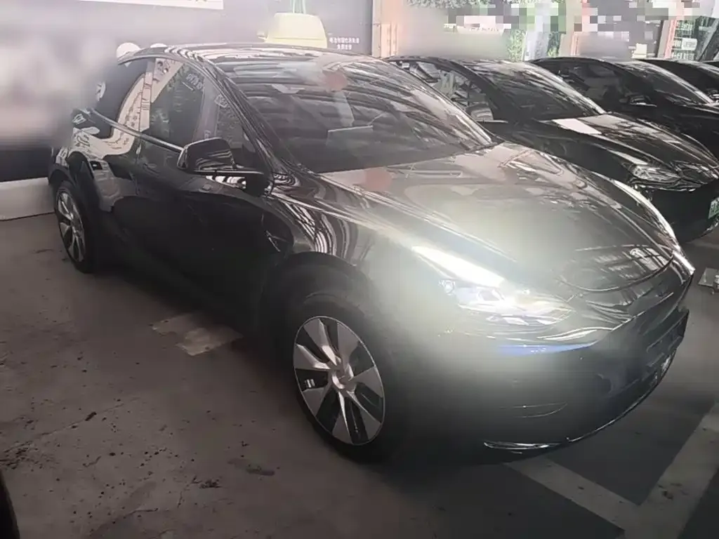 Tesla Model Y — фото 10
