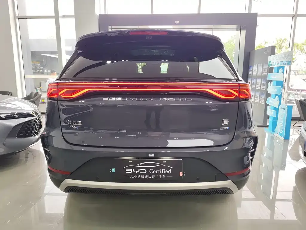 BYD Tang New Energy — фото 9