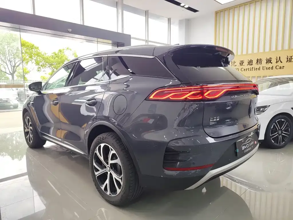 BYD Tang New Energy — фото 10