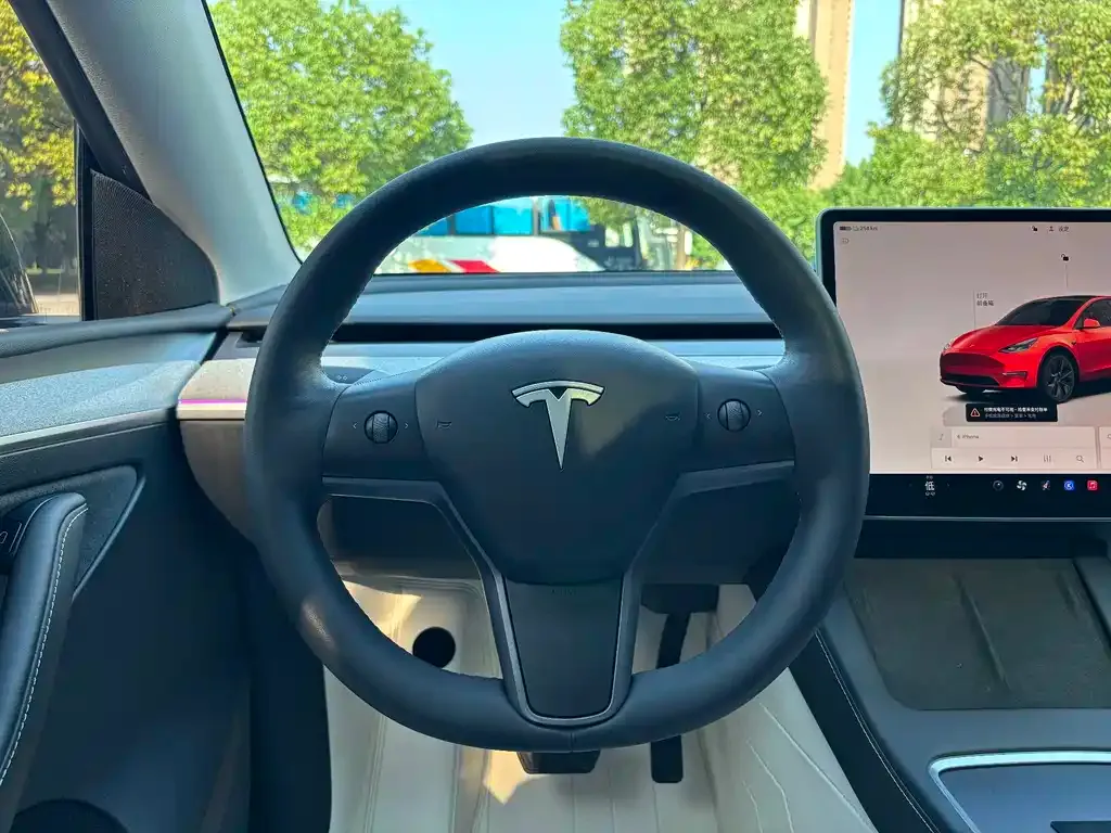 Tesla Model Y — фото 2